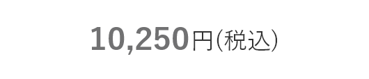 10,250円(税込)