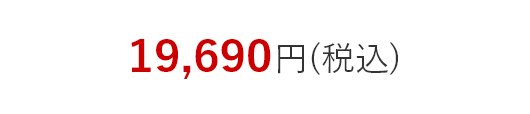 19,690円(税込)