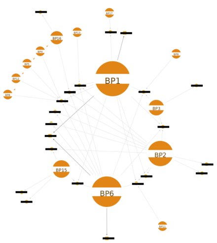 図：主なBPグループの標的数量を可視化