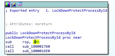 圖 15:LockDownProtectProcessById 函式。