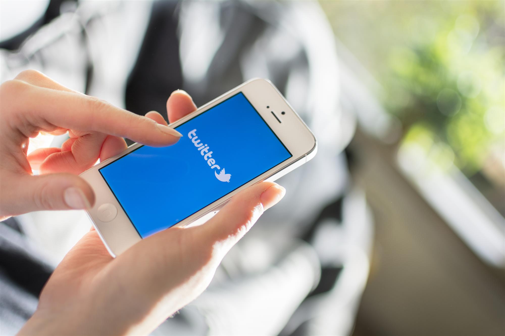 Tackling Twitter: How to keep your family safe from scammers