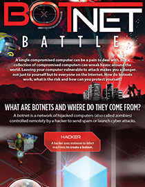 Botnet Battle Infographic